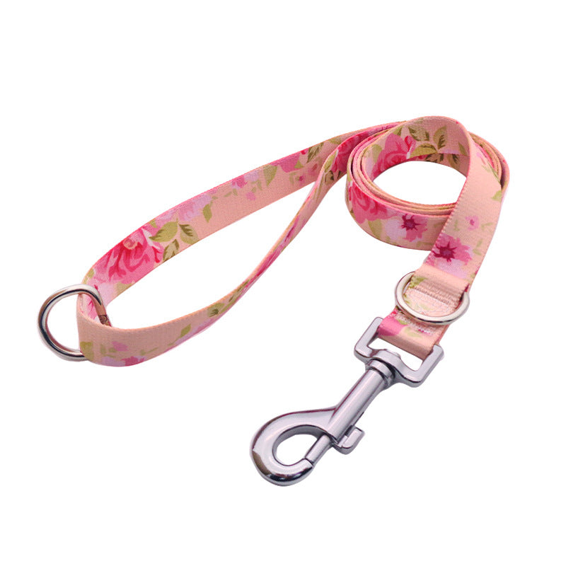 Basic Dog Collar, Double D Ring