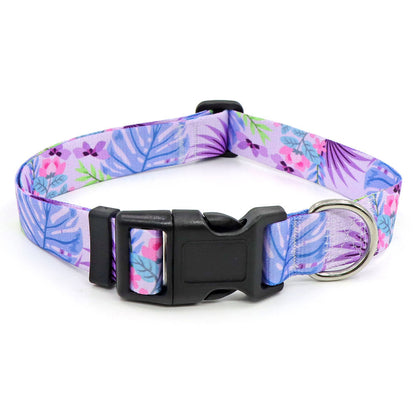 Dog Collar with Fashion Print on 25mm Collar Strap, Adjustable Basic Dog Collar with Neoprene Liner for Your Pets Comfort